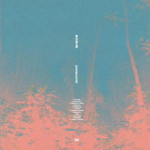 (Pre-Order) Julien Bracht "Now Forever One" limited Double LP