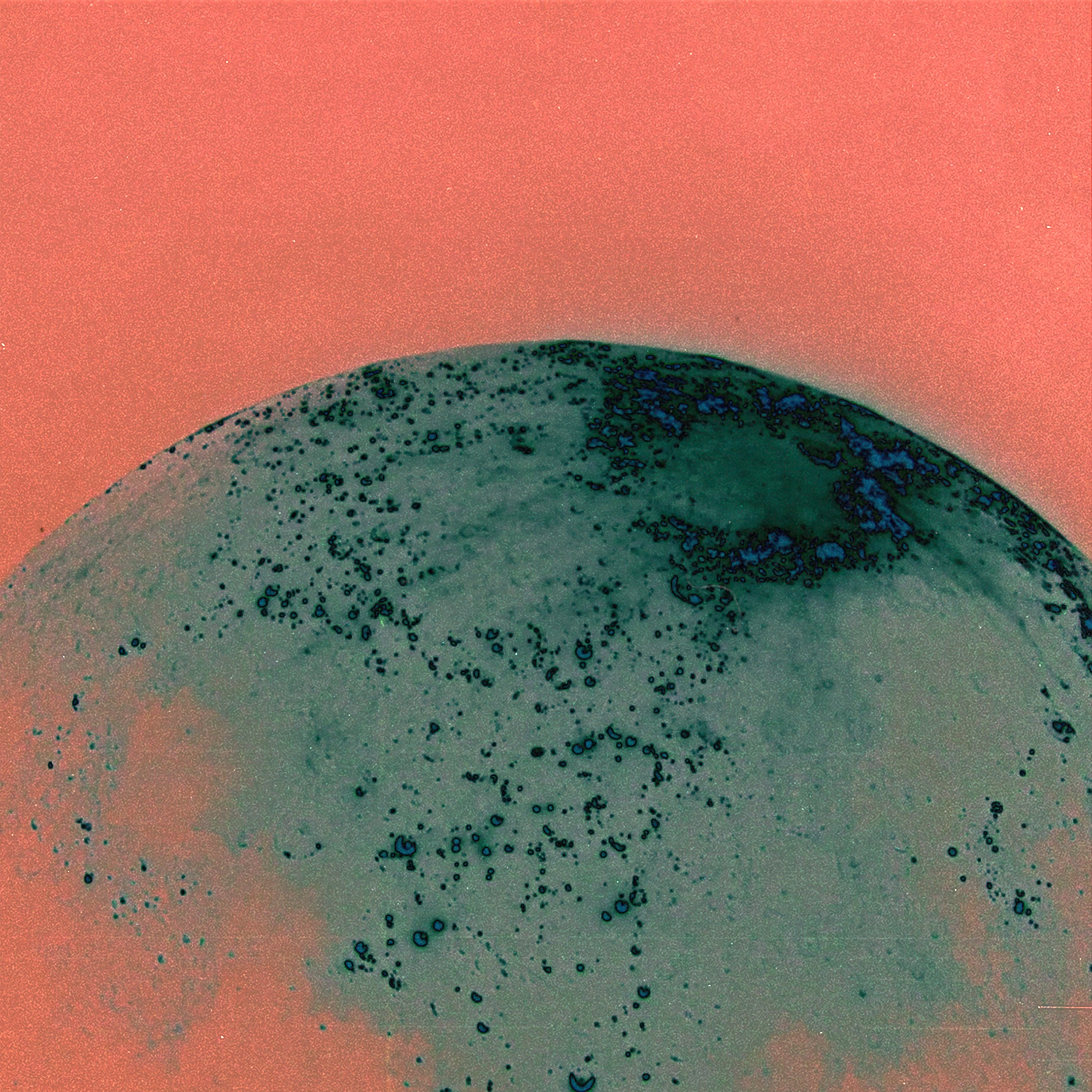 (Pre-Order) Julien Bracht "Now Forever One" limited Double LP